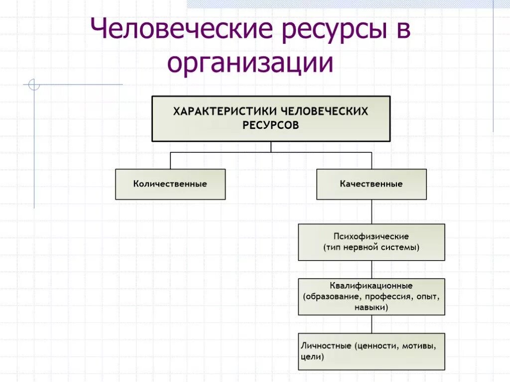 Человеческие ресурсы организации это совокупность. Человеческие ресурсы организации это. человеческие ресурсы примеры. примеры человеческих ресурсов. человеческий ресурс фирмы.
