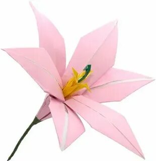 Paper lily