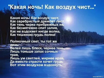 Стих ночною тишиной