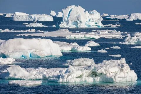 The sea ice