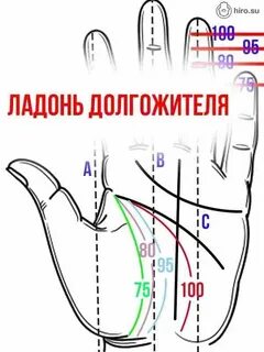 Хиромант 6