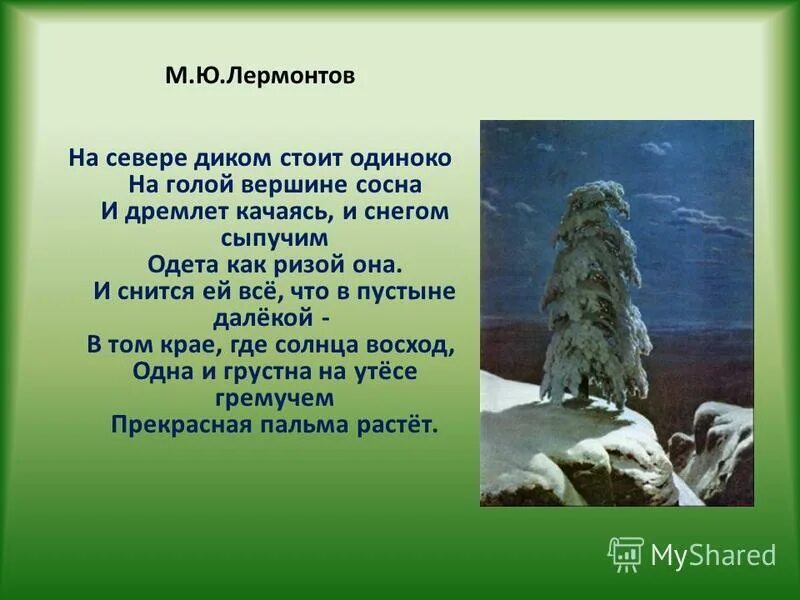 Прочитайте на севере диком стоит одиноко. Прочитайте на севере диком стоит одиноко
