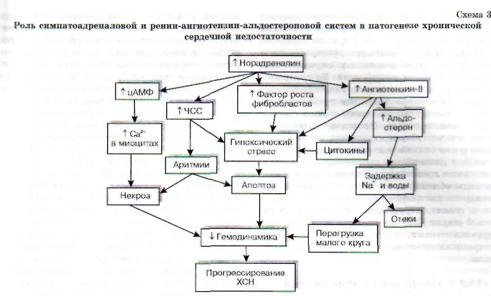 Схема патогенеза острой сердечной недостаточности. Механизм развития левожелудочковой недостаточности. Схема патогенеза сердечной недостаточности. Схема правожелудочковой сердечной недостаточности. Сердечная недостаточность схема