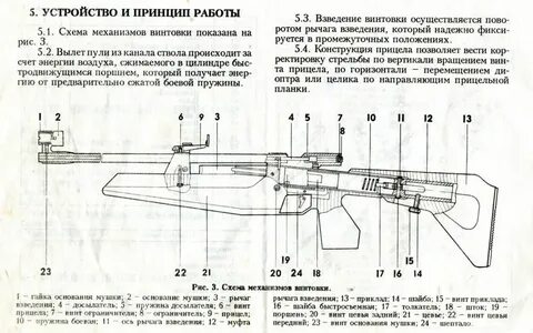 Пневматическая винтовка характеристики