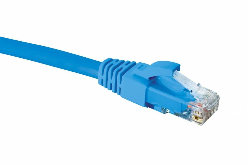Патч корд rj45 rj45 0 5м. Eurolan 21d-u5-02bu. шнур коммутационный 2хrj45 u/utp кат.5e (1 м) eurolan 21d-u5-01wt. патч-корд 2м rj-45 utp кат.5. коммутационный шнур категории 5е, u/utp, lszh, t568b, белый 0.5 м..
