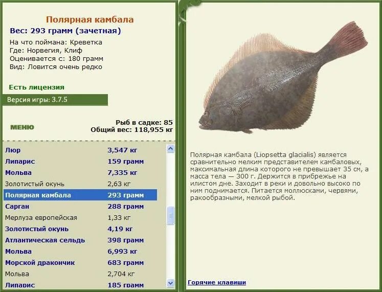 на какой глубине камбала