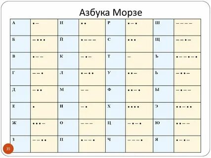 Морзе хомяк 8 9 июля