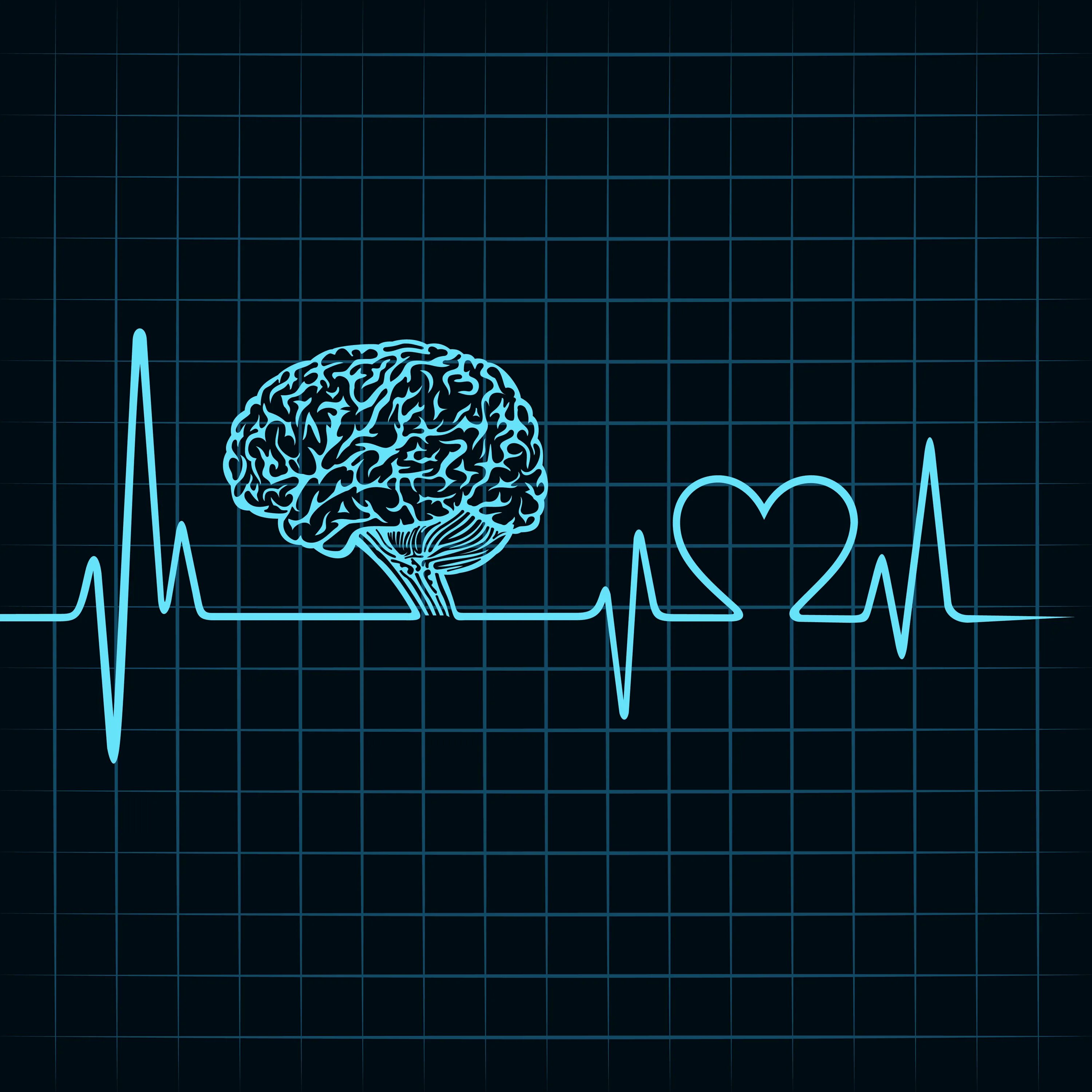 Heart and brain. Мозг и сердце. Сердце и разум. Сердце и мозг человека. Ум и сердце.