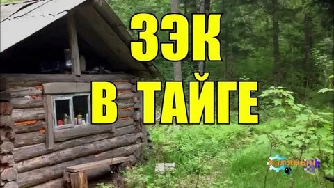Рассказы про тайгу и охотников слушать