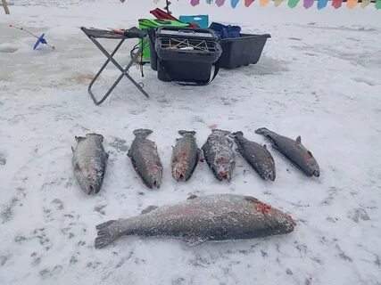 Рыбная 23