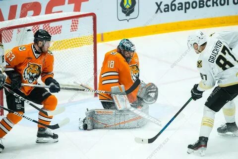 Амур адмирал личные встречи
