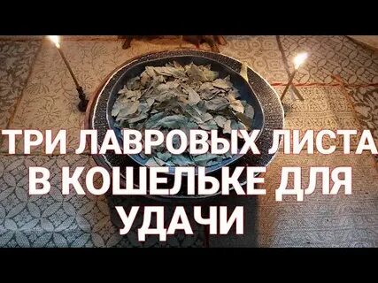 Лавровый лист деньги растут