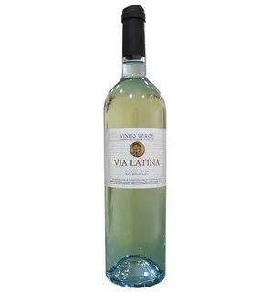 Vina 88