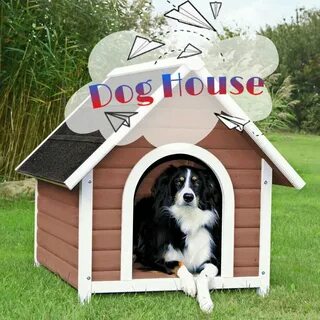 Dog house на деньги