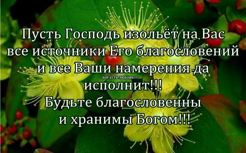 Благословение на хорошее. Благословений от Господа. Открытка Божьих благословений и Божьей помощи. Пожелания здоровья и Божьего благословения. Открытка Божьего благословения на день.