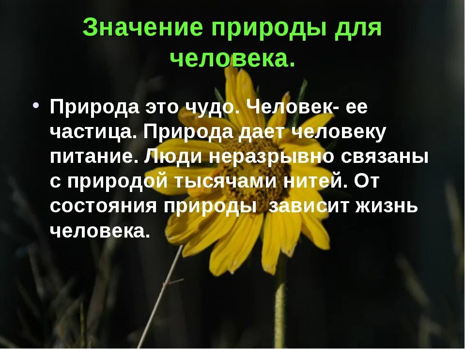 Значение природы для человека. Значение природы в жизни человека. Значение в природе. Природа в жизни человека кратко.