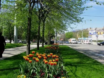 Краснодар в цвету