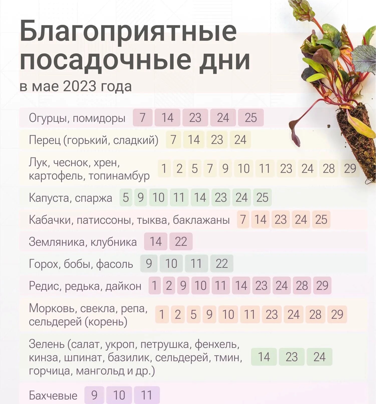 Пересадка рассады по лунному календарю в апреле. Благоприятные дни для посадки. ,Kfujghbznyst LYB lkz gjcflrb wdtnjd. Благоприятные дни для посадки цветов. Таблица благоприятных дней для посадки рассады.