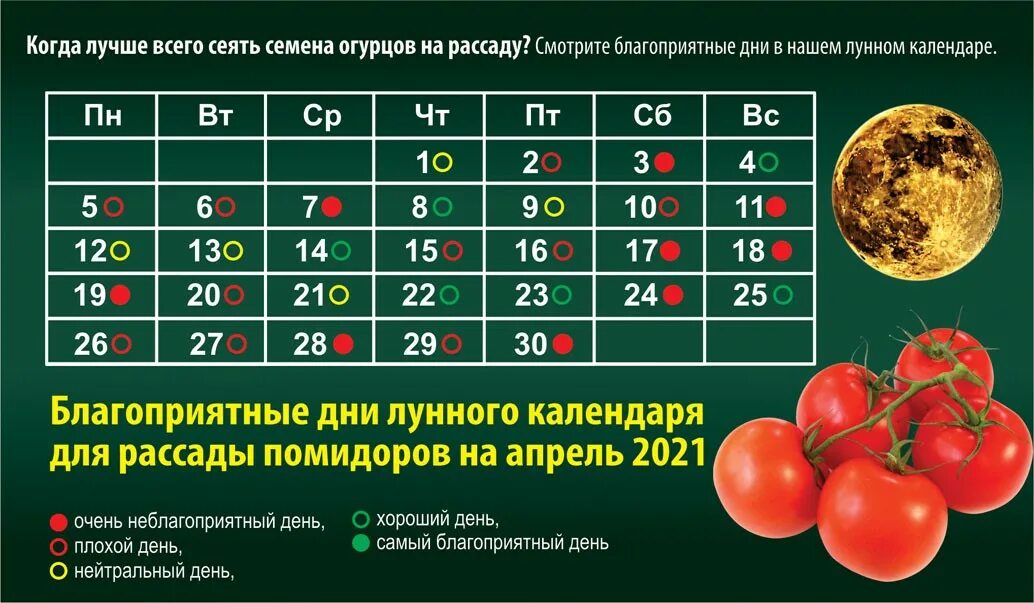 Когда посадить помидоры на рассаду. Благоприятные дни для рассады. благоприятные дни для посева помидор на рассаду. календарь посадки помидор. благоприятные дни для посева томатов.