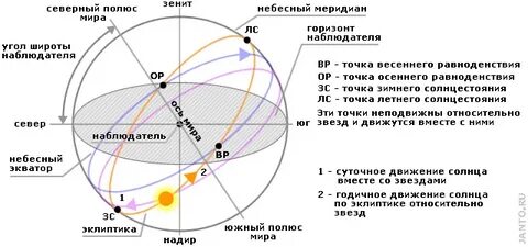 Укажите названия точек и линий