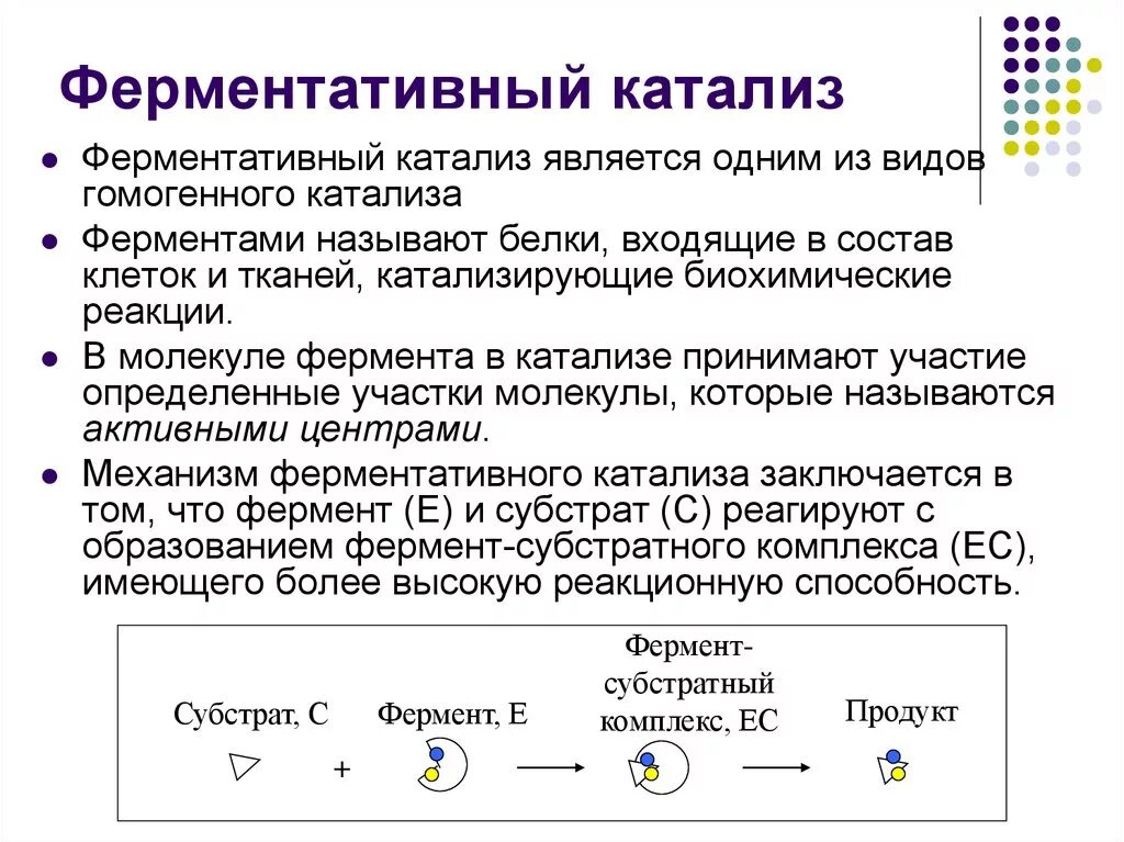 Катализ ферментов. Химическая генетика катализ ферментативный катализ. Фермента ивный катализ. Основные этапы ферментативного катализа. Ферментативный катализ примеры.