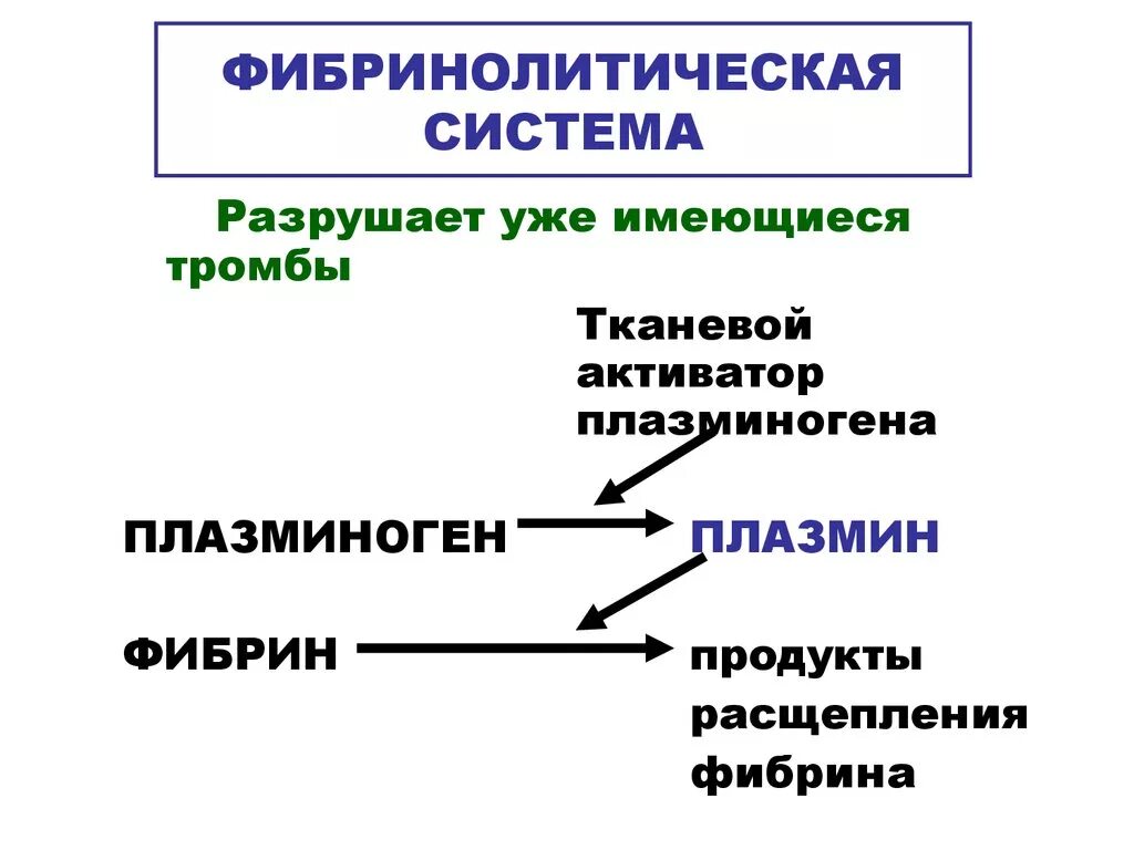 Фибринолитическая система крови схема. Механизм действия фибринолитиков схема. Активаторы фибринолитической системы крови. Основной компонент системы фибринолиза. Типы активаторов