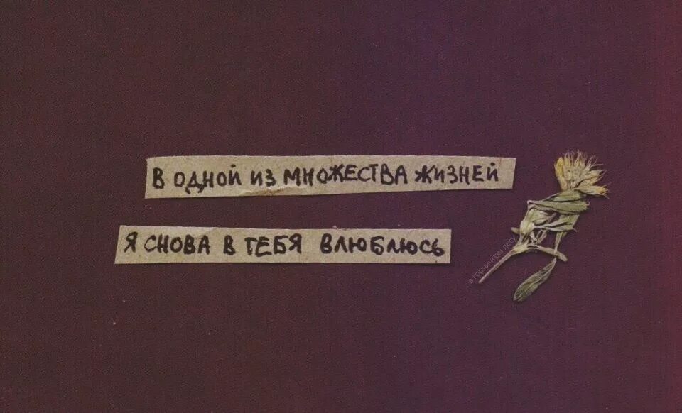 В одной из множества жизней снова в тебя влюблюсь. Я снова живу. Я снова влюбилась в тебя. Я влюбляюсь в тебя снова и снова.