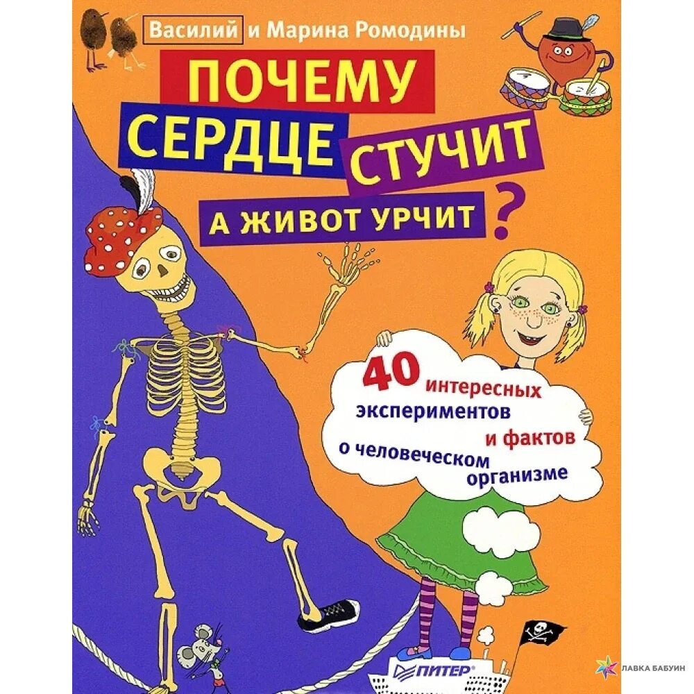 Почему стучит в животе. Почему сердце стучит. почему сердце стучит а живот урчит. почему сердце стучит а живот урчит книга. почему стучит сердце книга.