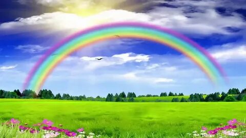 Rainbow high rainbow dream