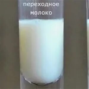 Выделяется молозиво без беременности