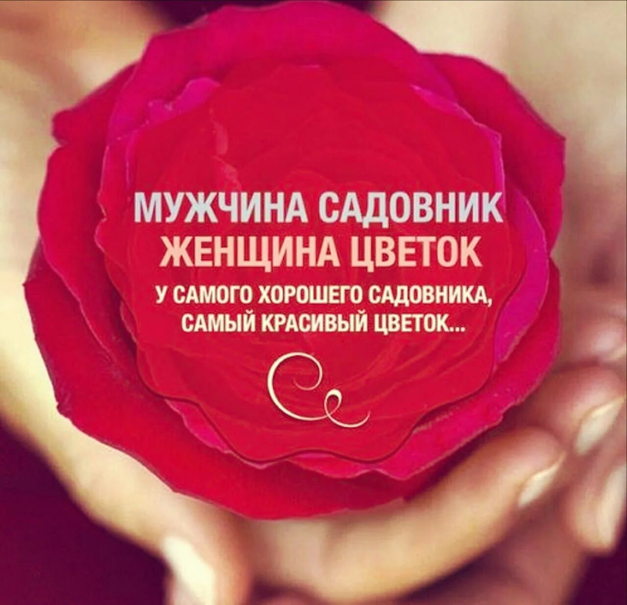 Какой садовник. Женщина это цветок а мужчина садовник. мужчина и женщина цветы. цитата про садовника и цветок. мужчина садовник а женщина цветок цитата.