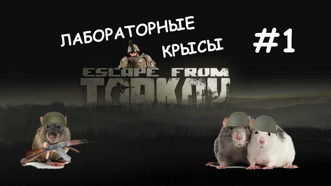 Крыса Тарков. Крыса в Таркове. Escape from Tarkov крыса. Escape from Tarkov лабораторная крыса. По следу крысы 3 военный