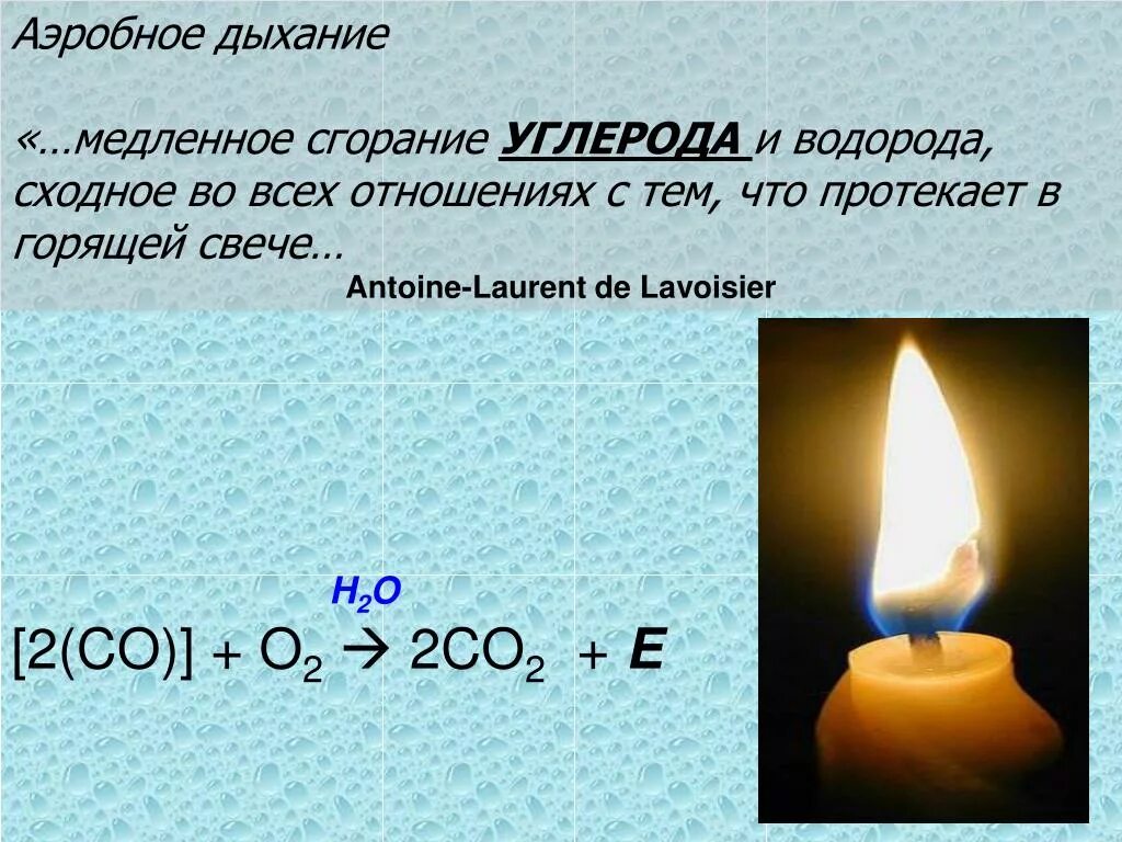 Горение углерода. Горение водорода. Горение углерода условия. Горение co2. Сжигание водорода образуется газ