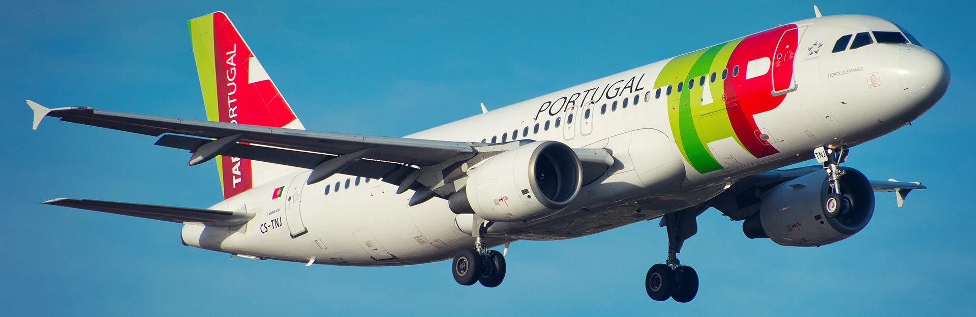 Португальские авиалинии. A321lr neo tap air portugal. Авиакомпании португалии. Tap portugal airlines. Tap portugal airlines logo.