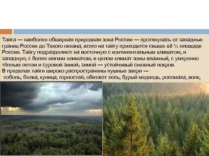 Наиболее обширные