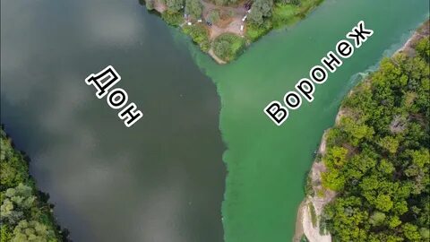 Воронеж это дон