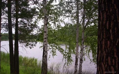 Погода тевриз омская область на 3 дня