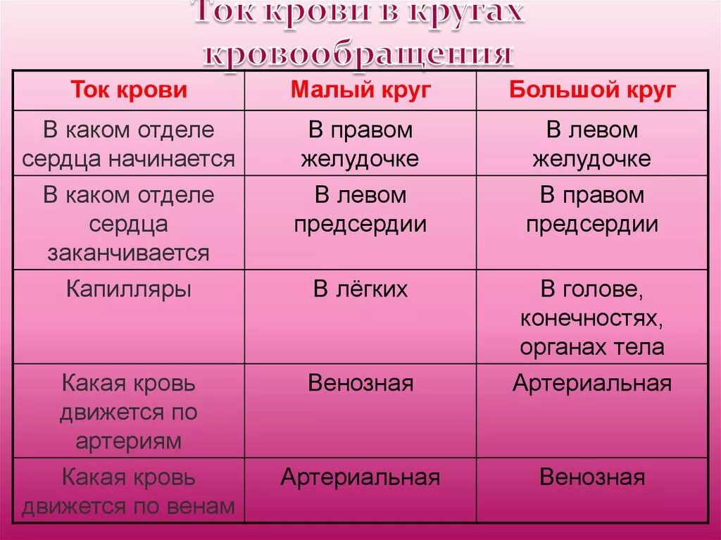 Круги кровообращения таблица. Большой круг кровообращения и малый круг кровообращения таблица. Малый круг кровообращения таблица. Круги кровообращения 8 класс. Таблица круга кровообращения начало круга