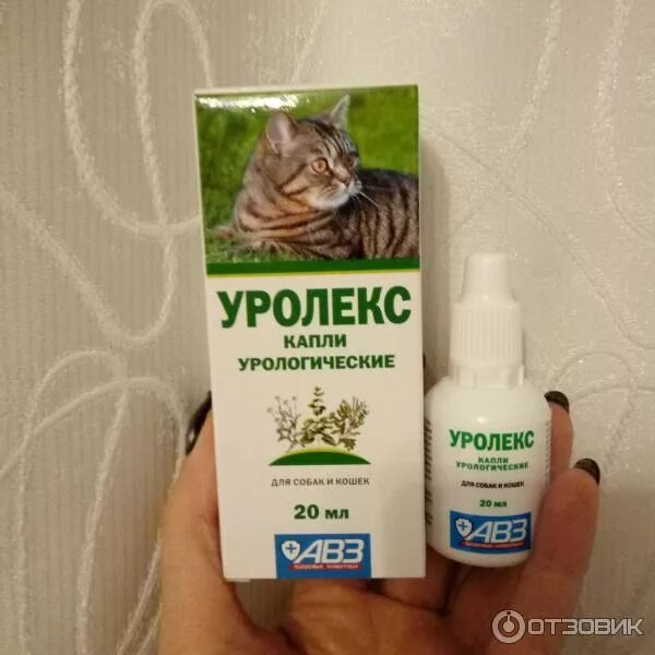 Уролекс для собак. Уролекс капли для кошек. Урологические капли для кошек уролекс. АВЗ уролекс капли урологические для собак и кошек 20 мл. Капли для котов от мочекаменной болезни.