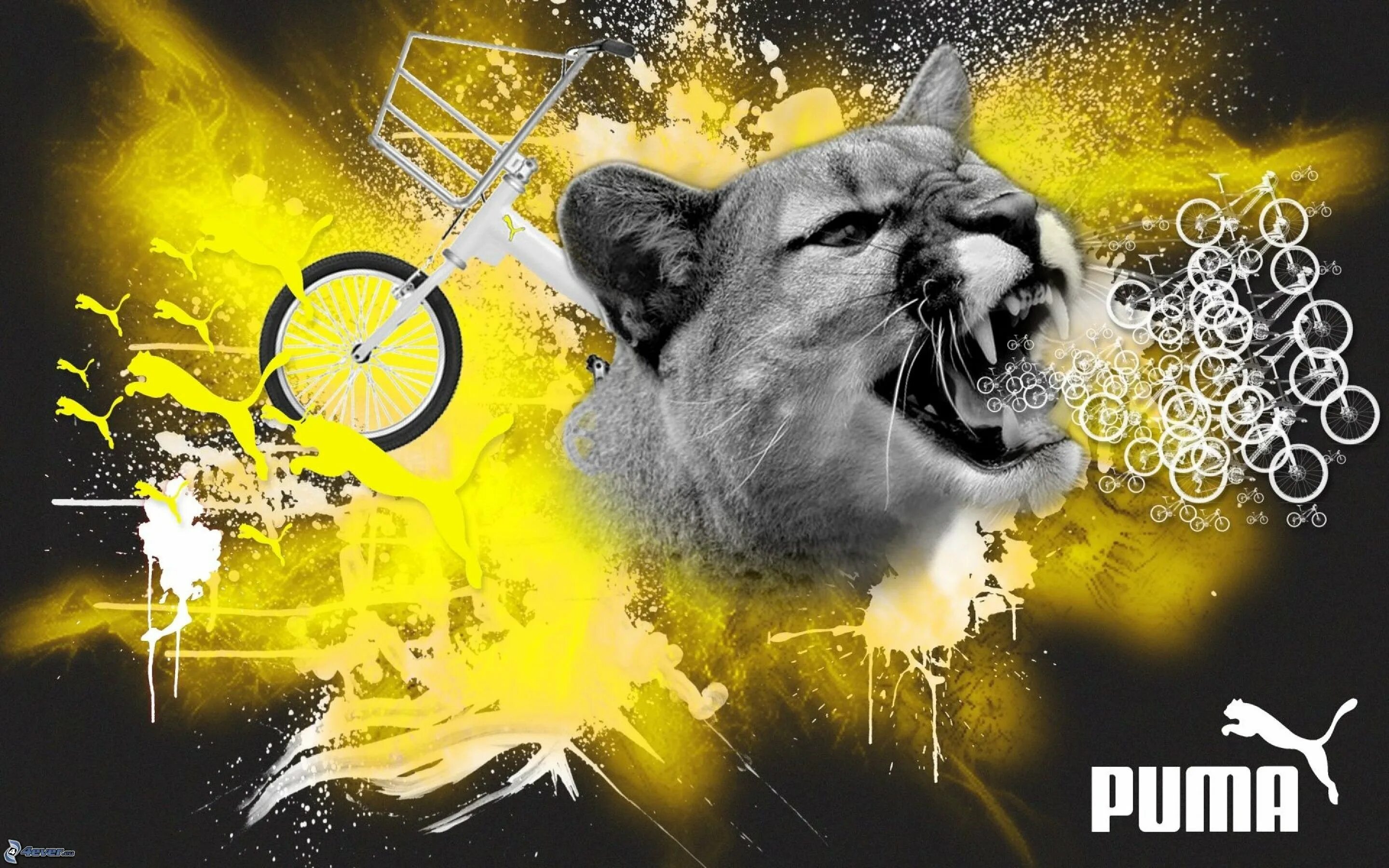 Adidas обои. Обои на телефон фирмы. Фирменный знак адидас. Обои адидас. Адидас.