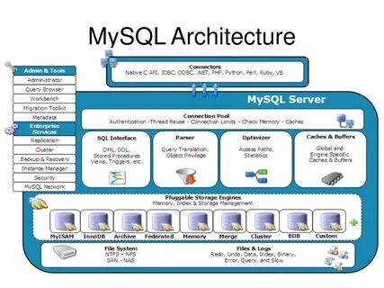 Mysql path
