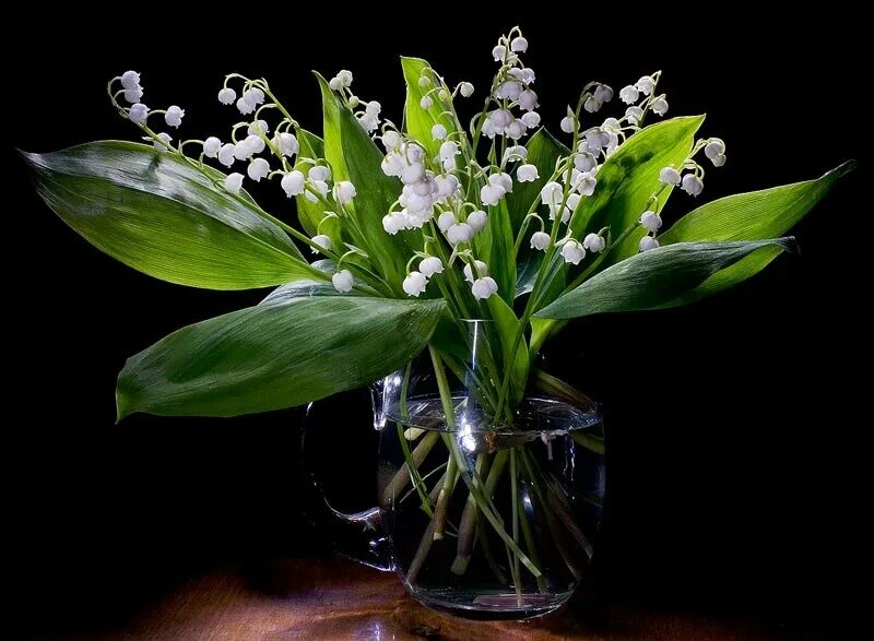 я подарю вам ландыши от души. ландыши букет для тебе. я подарю вам ландыши от души. поздравительная открытка с ландышами. я подарю вам ландыши от души.