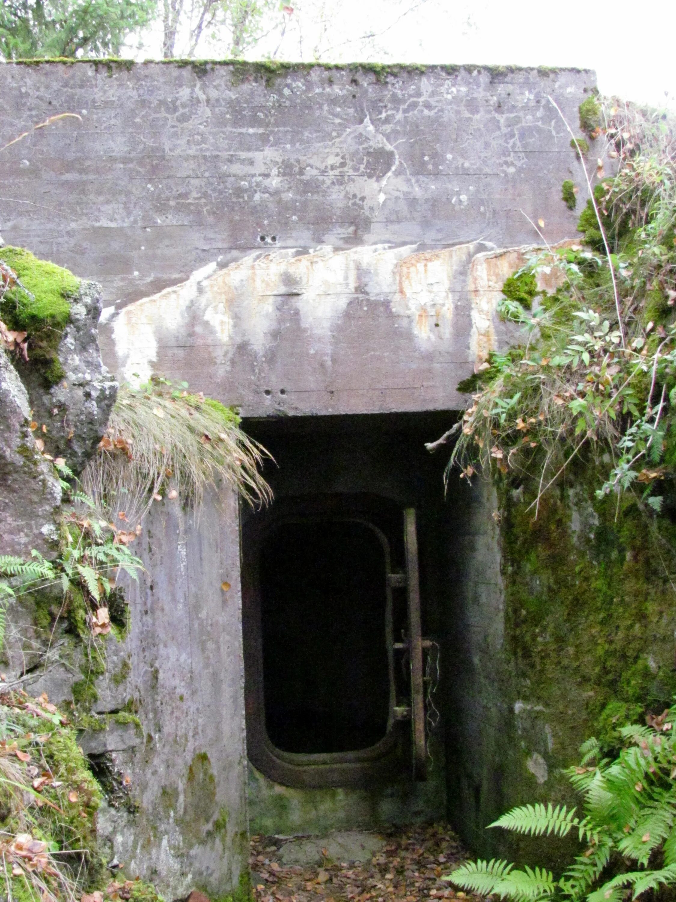 Убежище гражданской обороны гермоворота. Ворота в бункер. Бункерная гермодверь. Гермодверь гд 1. Бункер-703 мид ссср.
