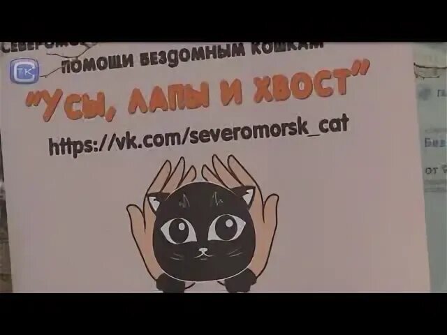 Усы лапы хвост отрадный. Усы лапы хвост. Усы лапы и хвост вот Мои документы. Игра усы лапы и хвост.