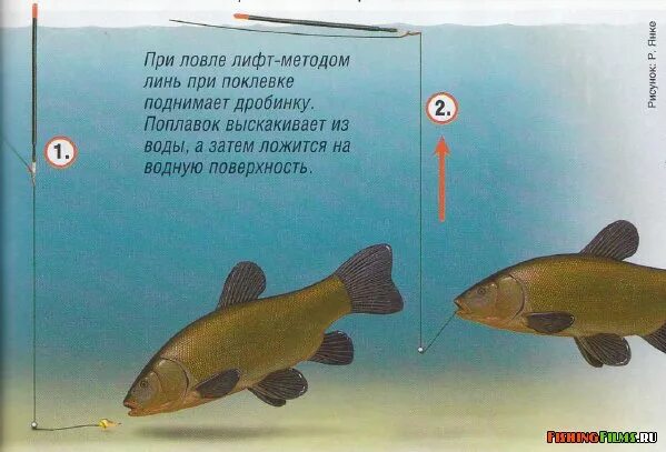 Ловля линя на удочку летом. Снасти для ловли линя. поплавочная снасть на линя. оснастка на линя на поплавочную. оснастка для ловли линя на поплавочную удочку.