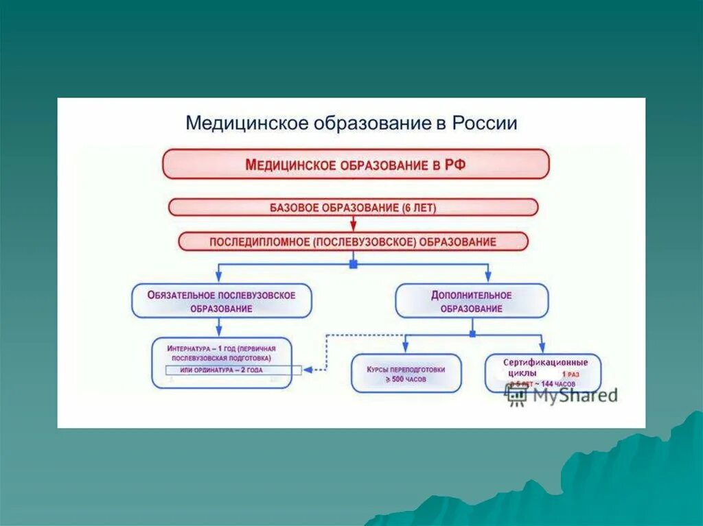 Рейтинг медицинского образования