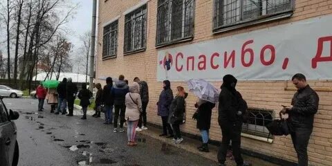 Готов сдавать