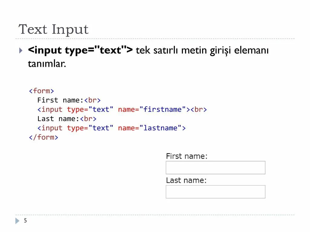 Form input text