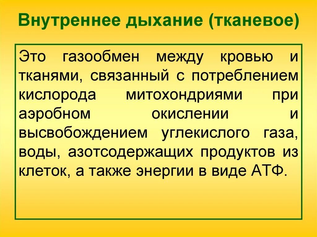 Вдох значение. Внешнее и внутреннее дыхание. Внутреннее тканевое дыхание. Внутреннее дыхание это газообмен между. Характеристика внешнего и внутреннего дыхания.