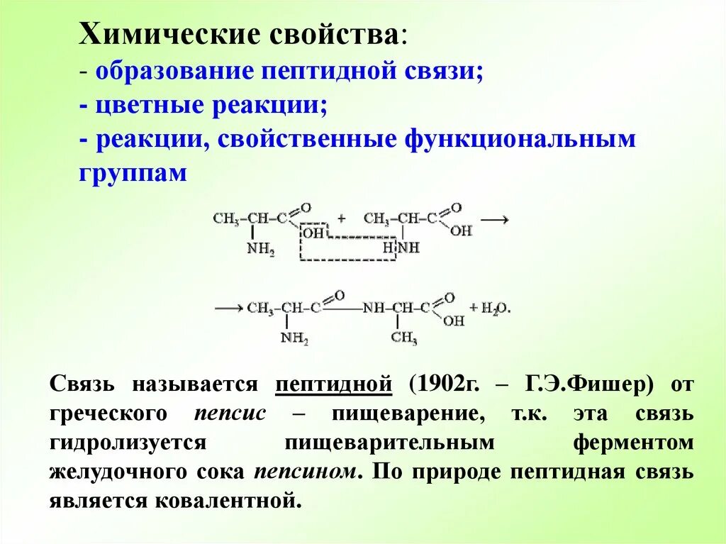 Образование первой пептидной связи. Реакция образования пептидной связи. Образование пептидной связи в белках. Пептидная связь в белках. Реакции на образование соединений с пептидной связью.